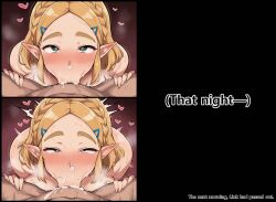 princess zelda from tears of the kingdom by meanitwas333331