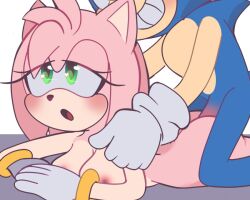 amy rose from sonic (series) by dani nsfw
