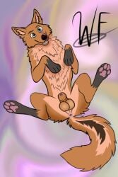 anus ass canid canine comission feral happy long_tail male mammal maned_wolf pawpads paws rainbow_eyes sheath sheathed_penis signature tail testicles top_down uncensored wolf