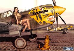 nose_art p-40_warhawk pinup romain_hugault stockings tiger