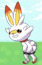 ass balls clothed clothing fur furry furry_only genitals looking_at_viewer looking_back male male_only mincheeto nintendo partially_clothed pokémon_(species) pokemon scorbunny semi-anthro solo tail underwear underwear_down underwear_only video_games white_body