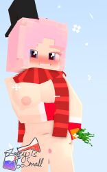 3d adult better_version_at_source blue_eyes blush breasts carrot female female_only gloves hat horny_female lowres mine-imator minecraft mostly_nude nipples nude pink_hair pussy scarf simple_background smile smiling smiling_at_viewer snow solo tagme watermark zoey_(zoeyistoosmall) zoey_is_too_small