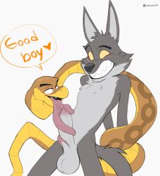 anthro balls blush bodily_fluids canid canine canis coiling cyancoyote dreamworks duo fellatio fur genitals good_boy hands_behind_back heart hi_res licking long_tongue male male/male male_only mammal mr._snake_(the_bad_guys) mr._wolf_(the_bad_guys) oral penile penis penis_lick reptile scalie sex simple_background smile sweat teeth the_bad_guys tongue tongue_coil tongue_out white_background wolf yellow_sclera