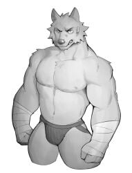 1boy angry anthro bara briefs bulge canid canine furry grey_body grey_fur greyscale jrjresq male male_focus male_only mammal monochrome muscular muscular_male nipples pecs tail underwear unknown_character wolf