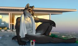 anthro bgn canid canine canis detailed_background dreamworks eyewear eyewear_only flaccid foreskin genitals hi_res male male_only mammal mr._wolf_(the_bad_guys) muscular muscular_male nude penis poolside solo sunglasses sunglasses_only the_bad_guys towel towel_around_neck wolf