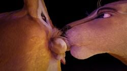 16:9 3d 3d_(artwork) animal animal_genitalia anus balls bigcat close-up digital_media_(artwork) duo felid feline female feral fur genitals hair hi_res lion male male/female mammal pantherine penis realistic ruark widescreen