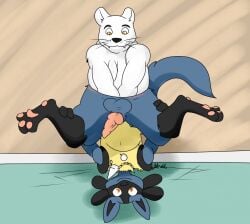 2boys anal_insertion anal_vore anthro balls blue_fur furry gay lucario nelsonnoir orange_eyes original_character pawpads penis pokemon pokemon_(species) pokemon_dppt tail vore whiskers white_fur yaoi yellow_eyes