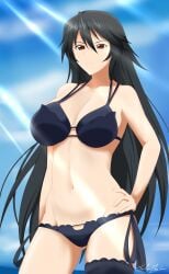 absurd_res bikini black_hair chifuyu_orimura commission female female_only hand_on_hip infinite_stratos long_hair navel neolink077 solo