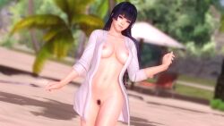 3d beach black_hair breasts dead_or_alive female longpole looking_at_viewer mole naked_shirt nyotengu pubic_hair purple_eyes solo