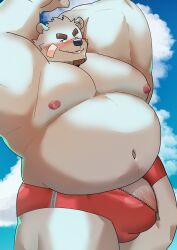 2022 absurd_res anthro belly big_belly blus blush bulge clothing cloud genitals hi_res kemono male mammal moobs musclegut navel nipples outside overweight overweight_male penis polar_bear solo underwear ursid ursine yuuuki_desu