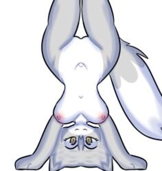 1girls :3 artist_request grey_fur hand_stand piggy:_book_2 piggy_(game) pussy roblox roblox_game source_request tagme willow_(piggy) wolf wolf_ears wolf_girl wolf_tail yellow_eyes