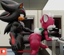 3d_(artwork) anal anal_sex anthro ass balls bent_over big_butt black_body black_fur bodily_fluids bottomless camseven chip_(sonic) clothed clothing digital_media_(artwork) duo english_text erection eulipotyphlan from_behind_position fur genitals girly gym hair half-closed_eyes hand_on_butt hedgehog hi_res looking_back male male/male male_penetrated male_penetrating male_penetrating_male mammal narrowed_eyes penetration red_body red_fur sega sex shadow_the_hedgehog side_view size_difference smile sonic_(series) sonic_the_hedgehog_(series) sonic_unleashed sweat teapot_(body_type) text thick_thighs topwear unknown_species watermark white_hair wide_hips wings