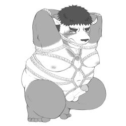 2022 anthro balls belly bondage bondage bound canid canine erection genitals jackboot_ihi male mammal nipples overweight penis raccoon_dog restraints rope rope_bondage rope_harness simple_background solo tanuki young