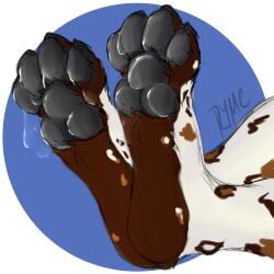 absurd_res african_wild_dog ambiguous_gender anthro bodily_fluids canid canine cum cum_on_feet feet foot_fetish foot_focus genital_fluids hi_res mammal pawpads ryme shaded simple_background simple_shading solo