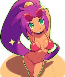 bikini breasts cleavage cute female green_eyes looking_at_viewer medium_breasts metata midriff perfect_body ponytail shantae shantae_(character) smile smiling smiling_at_viewer solo sunglasses sunglasses_on_head tantan