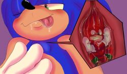 after_vore anthro bodily_fluids duo esegg internal knuckles_the_echidna macro male male/male male_only micro oral_vore saliva sega sonic_(series) sonic_the_hedgehog sonic_the_hedgehog_(series) tongue tongue_out vore