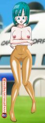 bulma_briefs bulma_briefs_(androids'_saga) dragon_ball dragon_ball_z luigizion tagme