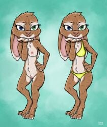 anthro bad_guy_cafe bikini blue_eyes breasts brown_body brown_fur clothing female fur genitals green_eyes heterochromia hi_res jake_thumpings kissing lagomorph leporid mammal nude pussy rabbit solo stripes swimwear ziegelzeig