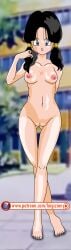 backwards_feet breasts dragon_ball dragon_ball_z luigizion nipples nude pussy solo_female tagme uncensored videl