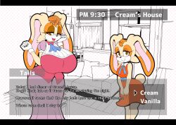 cream the rabbit from sonic (series) by michiyoshi