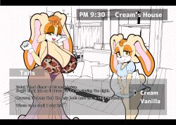 cream the rabbit from sonic (series) by michiyoshi