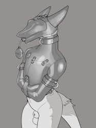 100racs 2020 animal_genitalia anthro balls bondage bottomless clothed clothing collar furry gag genitals hi_res inflatable_gag inflatable_insertable latex male monochrome restraints sergal sheath simple_background solo standing straitjacket