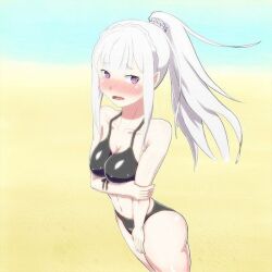 alternate_hairstyle artist_request bare_belly bare_legs bare_shoulders bare_skin bare_stomach beach belly belly_button bikini black_bikini black_swimsuit blush blushing_profusely braid breasts clavicle covered_breasts crown_braid elf elf_ears elf_female elf_girl embarrassed emilia_(re:zero) female female female_focus female_only grabbing_own_arm hair_ornament half-elf half_elf hand_covering_pussy light-skinned_female long_hair looking_at_viewer medium_breasts pointy_ears ponytail purple_eyes re:zero_kara_hajimeru_isekai_seikatsu scrunchie shiny_skin shy silver_hair solo solo_female solo_focus standing swimsuit thick_ass thick_thighs tied_hair wavy_mouth white_hair wide_hips