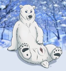 dirty.paws female feral genitals hi_res horny_(disambiguation) mammal nude paws polar_bear pussy seductive solo ursid ursine