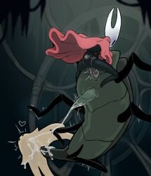 Hollow Knight (Franchise) Rule 34 Image