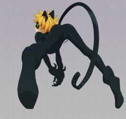 adrien agreste from miraculous ladybug by negi (pixiv 10692647)