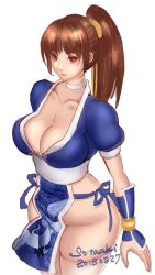 2018 big_sister breasts brown_eyes brown_hair choker cleavage dated dead_or_alive female female_focus huge_breasts kasumi_(doa) long_hair matching_hair/eyes ninja no_bra no_panties onee-chan ponytail revealing_clothes solo tecmo