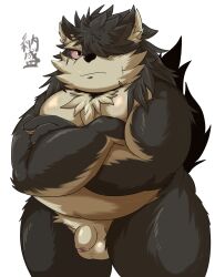 1boy absurd_res anthro balls belly canid canine canis domestic_dog eyebrows flaccid foreskin genitals hair hair_over_eye hi_res lifewonders long_hair male mammal musclegut namori nude one_eye_obstructed pecs penis shino_(tokyo_afterschool_summoners) solo thick_eyebrows tokyo_afterschool_summoners uncircumcised video_games