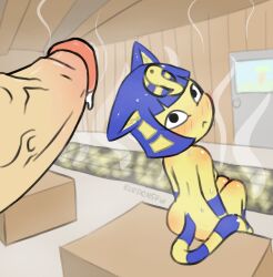 animal_crossing ankha ankha_(animal_crossing) anthro blue_hair blush domestic_cat duo eledensfw erection felid feline felis female female_focus fur hair humanoid_genitalia looking_back male male/female mammal nintendo nude sauna sitting video_games yellow_body yellow_fur