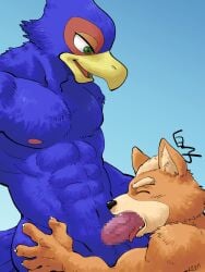 41raco anthro avian bird canid canine censored erection falco_lombardi fellatio fox_mccloud gay genitals hi_res kirupi male male/male mammal muscular muscular_male nintendo oral penile penis sex shirako star_fox video_games