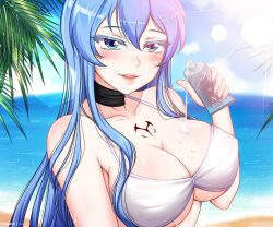 1girls akame_ga_kill! beach blue_eyes blue_hair blush cloud esdeath_(akame_ga_kill!) huge_breasts human large_breasts long_hair lotion ocean outdoors outside sand sky sun_lotion upper_body