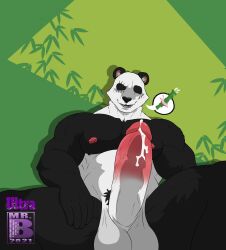 absurd_res anthro bamboo beastars bodily_fluids collaboration cum fur furry genital_fluids genitals giant_panda gouhin hi_res male male_only mammal mr._brapion mr_ultra muscular nipples penis solo ursid