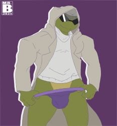 1boy absurd_res anthro bulge clothing donatello_(tmnt) hi_res jockstrap male male_only mr._brapion muscular pinup pose reptile scalie solo teenage_mutant_ninja_turtles turtle underwear