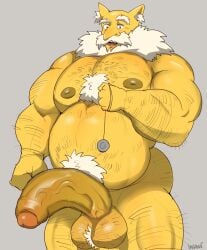 anthro balls bara barazoku big_balls big_penis boner erection facial_hair hairy huge_balls huge_cock hypno hypnotizing_viewer male male_only musclegut muscles muscular nintendo overweight pendulum penis pokemon pokemon_(species) solo solo_male wani_panic