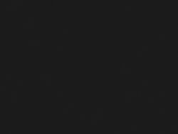 Miles Prower, Sally Acorn, Tails The Fox (Sega)