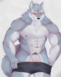 abs anthro balls blush canid canine canis clothed clothing genitals hi_res law_(sdorica) looking_at_viewer male mammal muscular muscular_anthro muscular_male nipples partially_clothed pecs penis placid69 pubes sdorica simple_background solo underwear underwear_down wolf