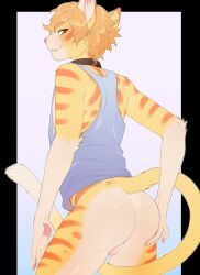 anthro ass backsack balls bottomless clothed clothing collar countershade_butt countershading cute_fangs domestic_cat felid feline felis fur genitals hi_res inner_ear_fluff knipp_(knipp) male male_only mammal nails rear_view riffraff666 shirt smile solo standing striped_body stripes tabby_cat tank_top topwear tuft whiskers yellow_body yellow_fur