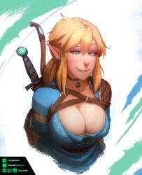 1girls big_breasts biting_own_lip blonde_hair breasts breath_of_the_wild choker cleavage clothed clothing female female_only freckles freckles_on_face genderswap_(mtf) kittypuddin link link_(breath_of_the_wild) looking_at_viewer nintendo pointy_ears rule_63 smiling_at_viewer solo sword the_legend_of_zelda