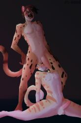 anthro balls balls_on_face bell bell_collar black_background cheetah chest_tuft collar domestic_cat duo erection felid feline felis flexible fur genitals hand_on_hip heynelatto hi_res humanoid_genitalia humanoid_penis interspecies knipp_(knipp) mahalo_(mahalocheetah) male male/male mammal meme nude one_eye_closed penis simple_background splits spots spotted_body spotted_fur spread_legs spreading tabby_cat these_aren't_my_glasses tuft