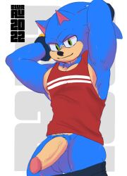 anthro balls brutalhero clothing eulipotyphlan genitals hands_behind_head hedgehog hi_res looking_at_viewer male mammal penis sega solo sonic_(series) sonic_the_hedgehog sonic_the_hedgehog_(film)