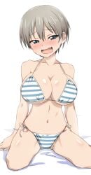 :d bangs bare_shoulders barefoot bikini blue_bikini blue_eyes blush breasts cleavage collarbone eyebrows_visible_through_hair female fujikawa_daichi grey_hair groin hair_between_eyes half-closed_eyes jacket large_breasts looking_at_viewer navel nervous oerba_yun_fang off_shoulder on_ground open_clothes open_jacket open_mouth sand shimapan shiny shiny_skin short_hair side-tie_bikini simple_background sitting skin_fang smile solo strap_gap string_bikini striped striped_bikini sweat swimsuit two-tone_bikini uzaki-chan_wa_asobitai! uzaki_hana wariza white_background white_bikini