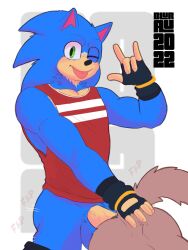 3:4 anal anal_sex anthro brutalhero duo eulipotyphlan genitals hedgehog hi_res looking_at_viewer male male/male mammal one_eye_closed penetration penis sega sonic_(series) sonic_the_hedgehog sonic_the_hedgehog_(film) tongue tongue_out wink winking_at_viewer