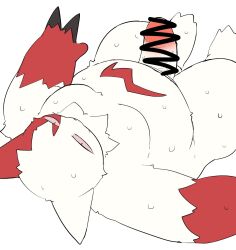 anthro belly bodily_fluids claws erection fur genitals hi_res looking_at_viewer lying male mixeeeel moobs nintendo on_back overweight penis pink_eyes pokémon_(species) pokemon pokemon_(species) sweat thick_thighs video_games white_body white_fur zangoose