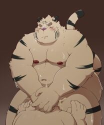 2022 5:6 anthro belly big_belly blush bodily_fluids closed_eyes cum duo ejaculation felid genital_fluids hi_res kemono male mammal moobs navel nipples overweight overweight_male pantherine pink_nose pomupomu490 sweat tiger white_body