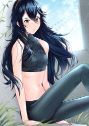 1girls ameno_(a_meno0) ass belly_button blue_eyes blue_hair crop_top fire_emblem fire_emblem_awakening grass long_hair looking_at_viewer lucina_(fire_emblem) midriff midriff_baring_shirt nintendo pants sitting small_breasts smile solo thin_waist tiara tight_clothing tight_pants