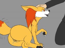 bodily_fluids canid canine duo female fennekin feral fluffy fluffy_tail fur genital_fluids genitals human human_on_feral interspecies karnator karnator_(artist) male male/female male_human/female_feral male_human/female_pokemon male_on_feral mammal nintendo open_mouth pokémon_(species) pokemon pokemon_(species) pussy pussy_juice selena_(karnator) tongue unseen_male_face video_games white_body white_fur yellow_body yellow_fur